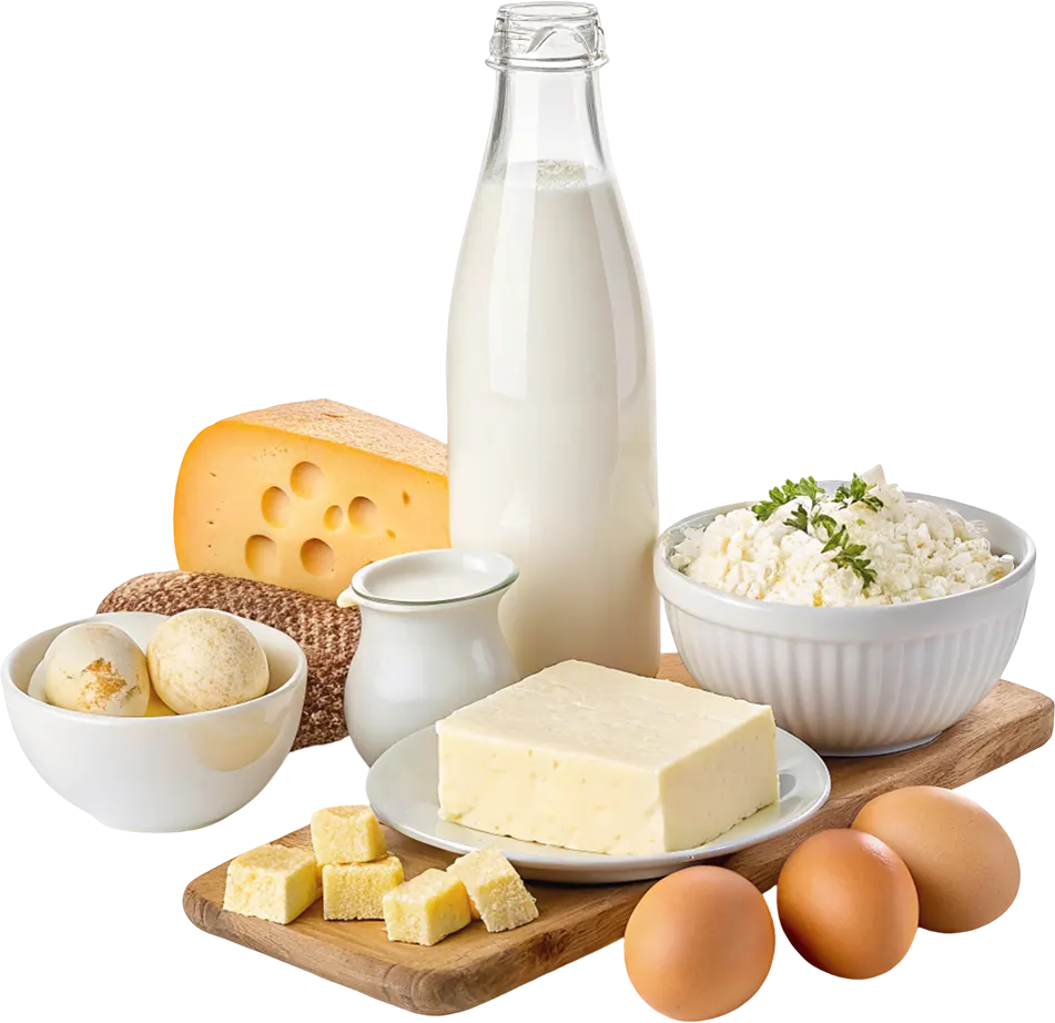 Milk cheese eggs butter