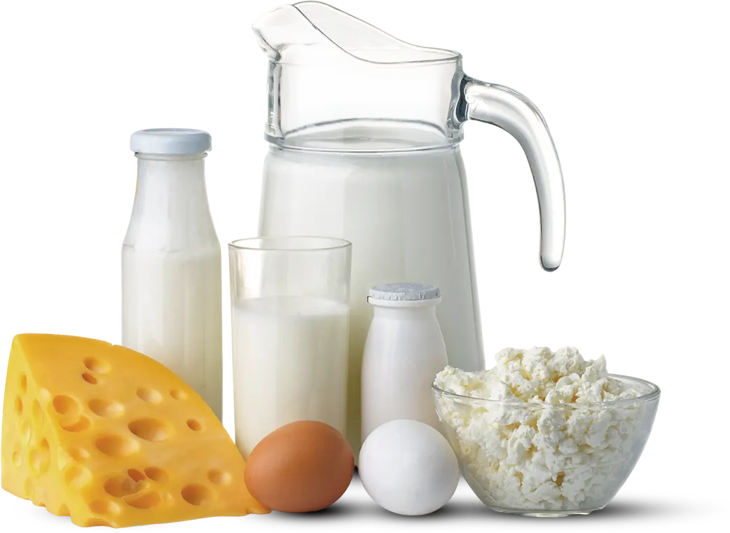 Milk cheese eggs butter