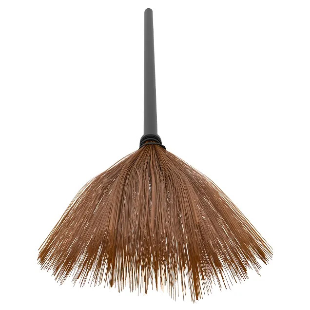 Vietnamese Broom