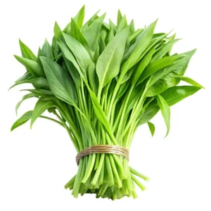 Water Spinach