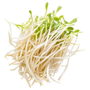 Bean Sprouts